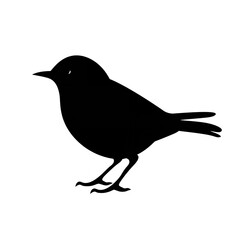 Black Color Silhouette of a European Robin: Simple and Elegant

