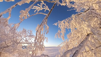 zauberhaft vereiste sonnige Winterlandschaft im Morgenlicht, Winterwunderland, Winterzauber,...