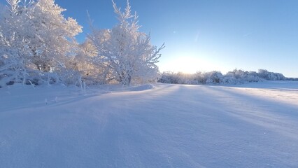 zauberhaft vereiste sonnige Winterlandschaft im Morgenlicht, Winterwunderland, Winterzauber, vereiste Bäume, Schnee, Kälte, Raureif, Natur, Idylle, Frost 