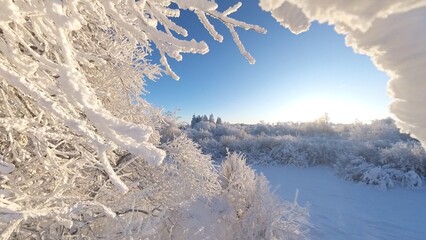 zauberhaft vereiste sonnige Winterlandschaft im Morgenlicht, Winterwunderland, Winterzauber, vereiste Bäume, Schnee, Kälte, Raureif, Natur, Idylle, Frost 