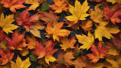 Naklejka na ściany i meble autumn leaf falling revealing intricate leaf vein
