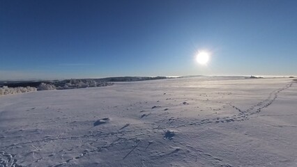 zauberhaft vereiste sonnige Winterlandschaft im Morgenlicht, Winterwunderland, Winterzauber, vereiste Bäume, Schnee, Kälte, Raureif, Natur, Idylle, Frost 