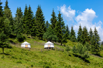 A Yurt Tent In the Forest
