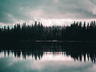 Fototapeta premium Lake reflections