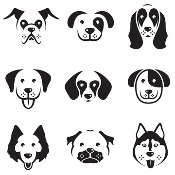 collection of various dog heads isolated on white background