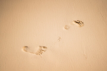 Solitary Footsteps on Pristine Sandy Beach