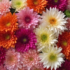 Fototapeta premium Flowers wall background with amazing red,orange,pink,purple,green and white chrysanthemum flowers ,Wedding decoration, hand made Beautiful flower wall background