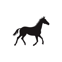 Obraz na płótnie Canvas horse vector silhouette