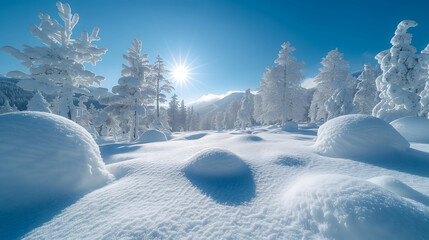 winter landscape with snow