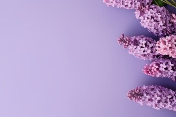 Obraz premium Bouquet of purple lavender flowers top view, flat lay mock up. Spa skin care with copy space for advertiser. Minimal background concept, Valentine's day, Mother's day, Women's Day and love concept