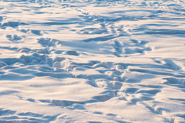 Snow surface in sunny weather.