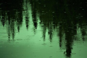 raindrops and reflection in water