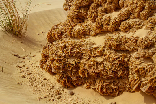 Large picturesque, natural,  desert rose formation. Tunisia, Africa