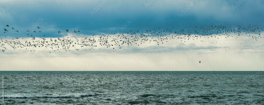 Canvas Prints fog over the sea