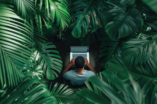  An Individual Works On A Laptop Surrounded By The Lush Greenery Of A Tropical Forest, Blending Nature With Technology.