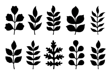 Fotobehang Silhouettes of twigs with leaves. Vector autumn or spring illustrations. Isolated on white background. Flat style. Simple plant outlines for paper or laser cutting and printing on any surface. © Volha Shybut