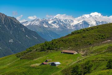 Picturesque view of refugee on an alpine meadow and snowy mountains while hiking Tour du Mont...