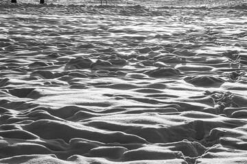 Shiny surface of snow in sunny weather.