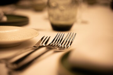 Closeup shot of a stainless steel forks near a plate