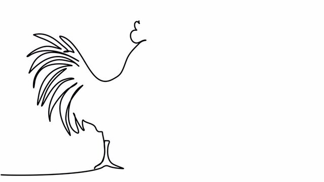 Rooster, one line drawing animation. Video clip with alpha channel.
