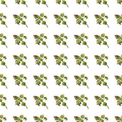 Green basil. A sprig of herbs. Seamless watercolor pattern