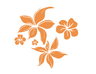 hawaian, hibiscus, 