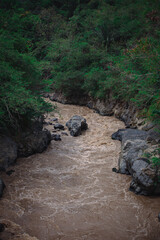 River surrounded by trees with many rocks