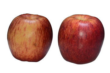 Apple that is rot with transparent background illustration.