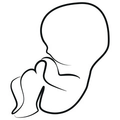 simple logo of a newborn baby without an article for drawn with different contours for clinics, printing and banners
