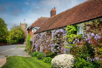 Fototapeta na wymiar Traditional two-story home set against a backdrop of vibrant purple flowers in Orford, Suffolk, UK
