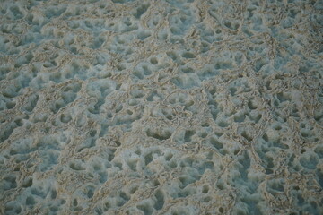 Close up background of piles of foam caused by an algal bloom in the Rio Tapajos, Brazil. Water contaminated by chlorophytes in the tropics, resulting in the death of animals and fish.