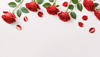 Elegant Red Roses on White Background