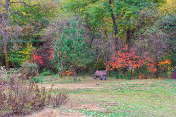 the beginning of autumn, walks in the countryside, panoramic views and seasonal conditions in nature, the colors of autumn