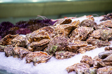 Buying seafood in central market in Valencia, Spain