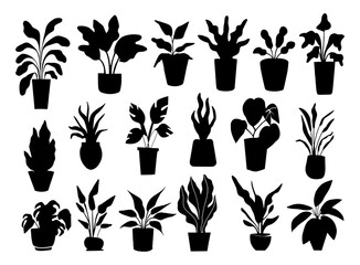 Silhouettes of different House Plants in pot set. Collection of indoor potted decorative houseplants for interior home, office decoration. Monochrome black vector illustrations on white background. - obrazy, fototapety, plakaty