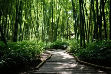 Gardinen Mesmerizing stroll along a serene path through a lush and majestic bamboo forest © firax