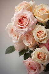 Bouquet of pink and beige roses on a gray background