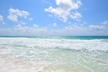 Plage paradisiaque et eau turquoise