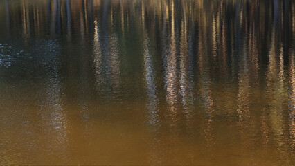 Abstract water tree reflections. Reflection in the water of trees growing on the banks. Colorful water reflections. Wallpaper Pattern of Water. Ripple Reflect. Pattern Design for Clothing and Interior © Mariia