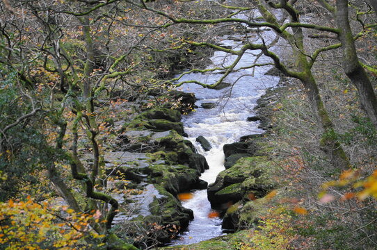 River Wharfe at Bolton Abbey, North Yorkshire, England, UK