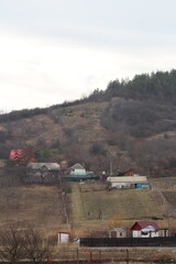 Obraz premium A group of houses on a hill