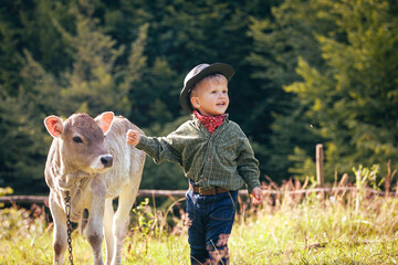 Little Toddler Cowboy Kid with Little Cute Calf the Cow - 732043569