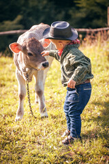 Little Toddler Cowboy Kid with Little Cute Calf the Cow - 732043723