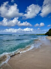 view of a deserted sandy beach in the caribbean in guadeloupe
