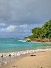 view of a deserted sandy caribbean beach in guadeloupe with the turquoise caribbean sea and a wild coast
