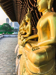 golden buddha statue