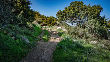 path in the mountains
