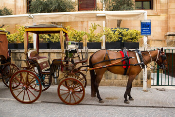 Fototapeta na wymiar Horse-drawn carriage in Valletta, Malta 