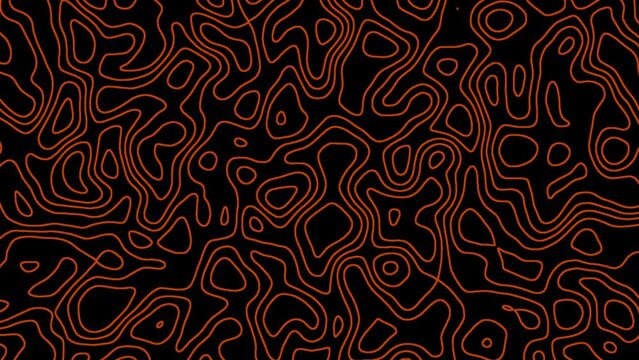 Moving orange waves on a black background. Abstract animated outline contour map. 4k, 60fps video loop.