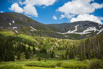 Mt Rhoda in the summer afternoon with tundra valley and evergreen forest